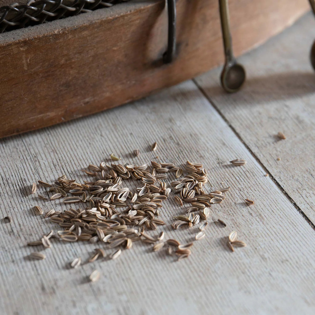 Fennel Perfection - Seed Packets - Windyridge Garden Centre