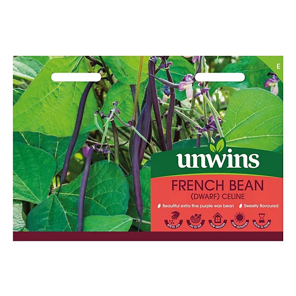 French Bean (Dwarf)  Celine - Seed Packets - Windyridge Garden Centre