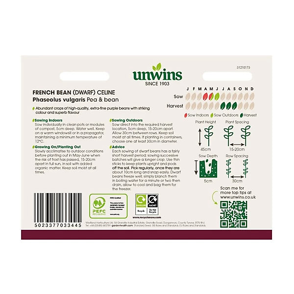 French Bean (Dwarf)  Celine - Seed Packets - Windyridge Garden Centre
