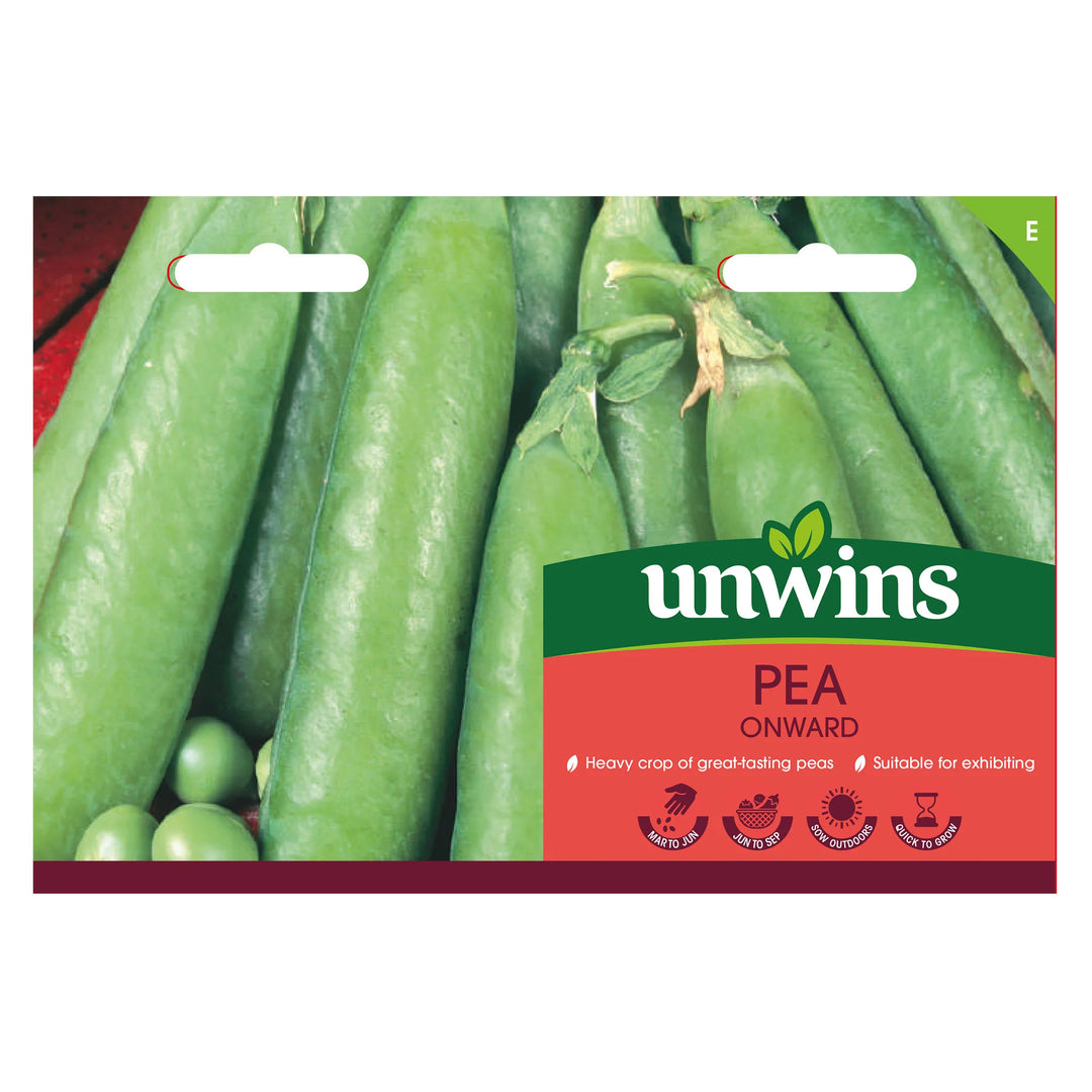 Pea (Maincrop) Onward - Seed Packets - Windyridge Garden Centre