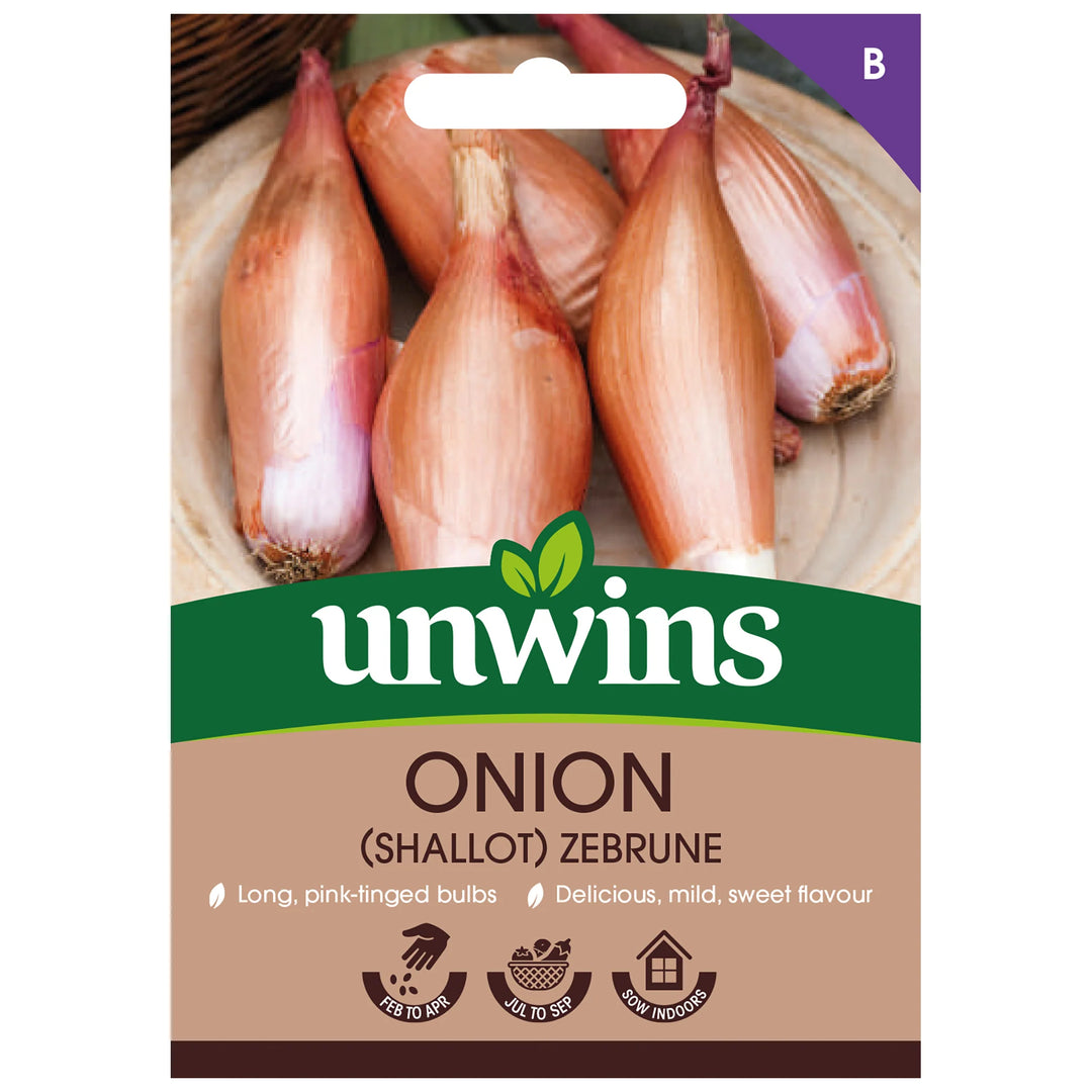 Onion (Shallot) Zebrune - Seed Packets - Windyridge Garden Centre