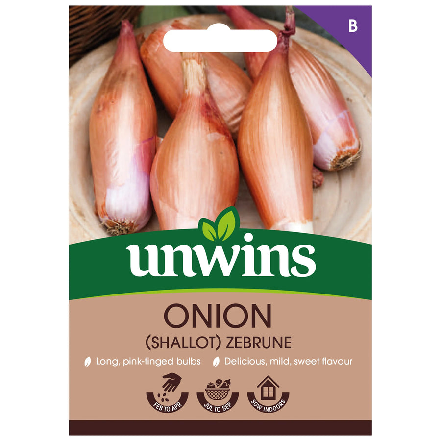 Onion (Shallot) Zebrune - Seed Packets - Windyridge Garden Centre