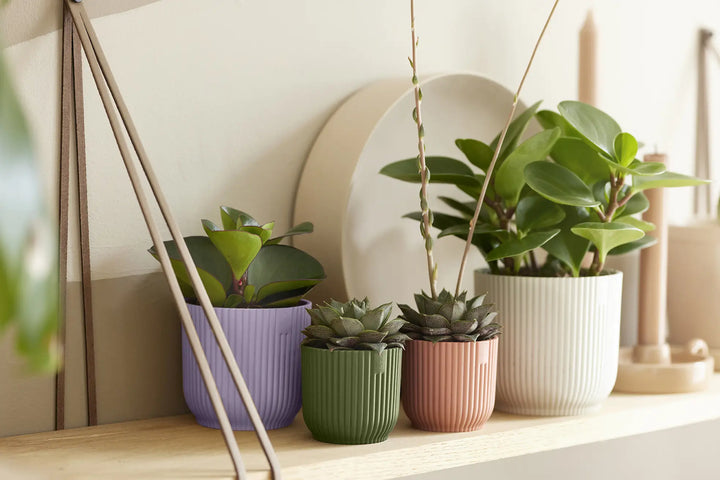 Vibes Fold Round Soft Lilac Ø18Cm - Pots - Windyridge Garden Centre