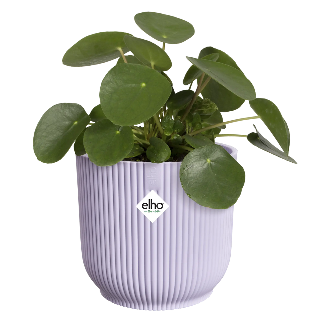 Vibes Fold Round Soft Lilac Ø14Cm - Pots - Windyridge Garden Centre