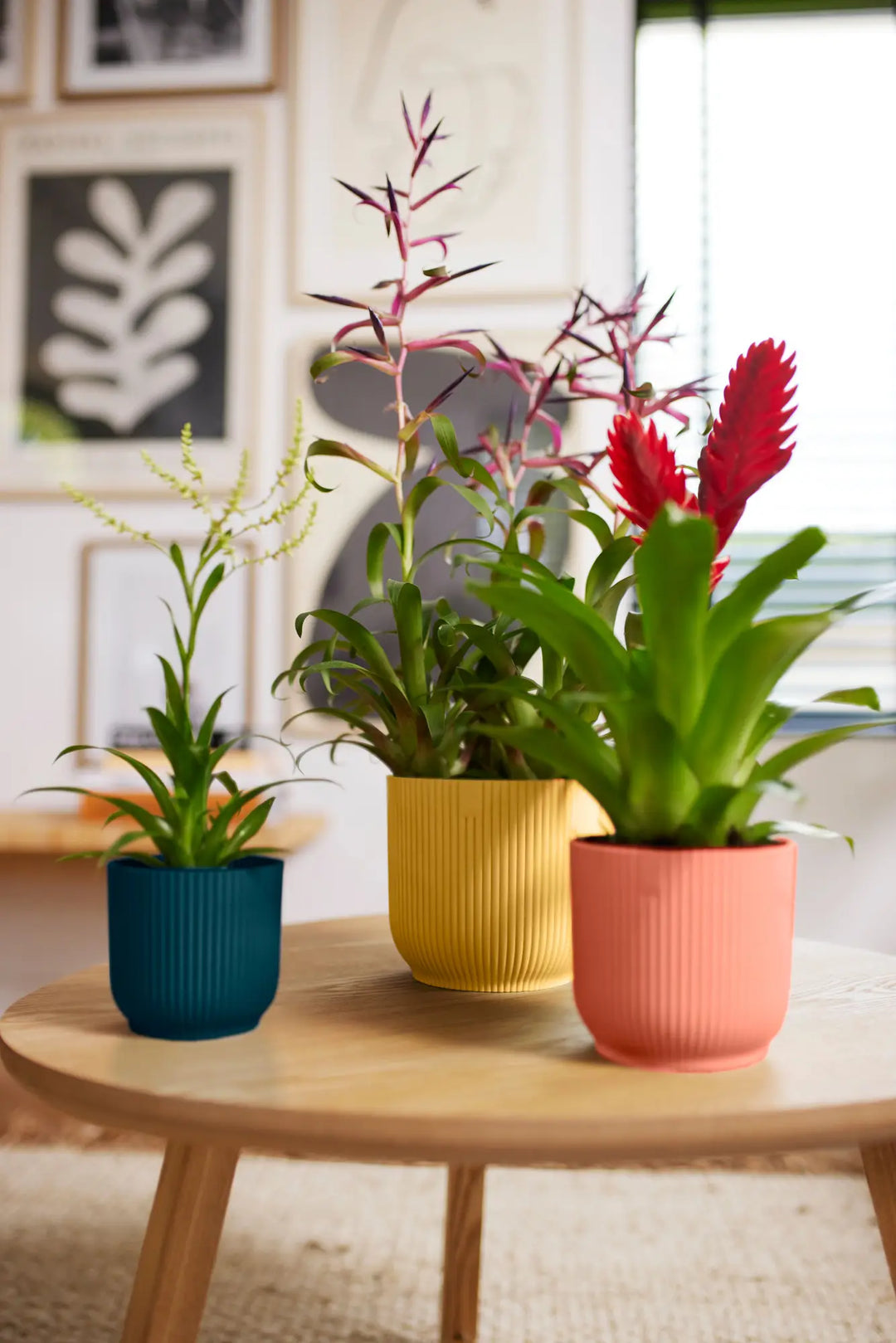 Vibes Fold Round Delicate Pink Ø14Cm - Pots - Windyridge Garden Centre