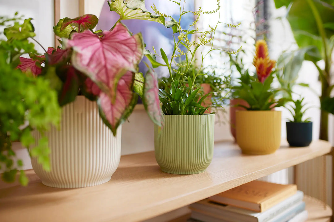 Vibes Fold Round Mini Sorbet Green Ø9Cm - Pots - Windyridge Garden Centre