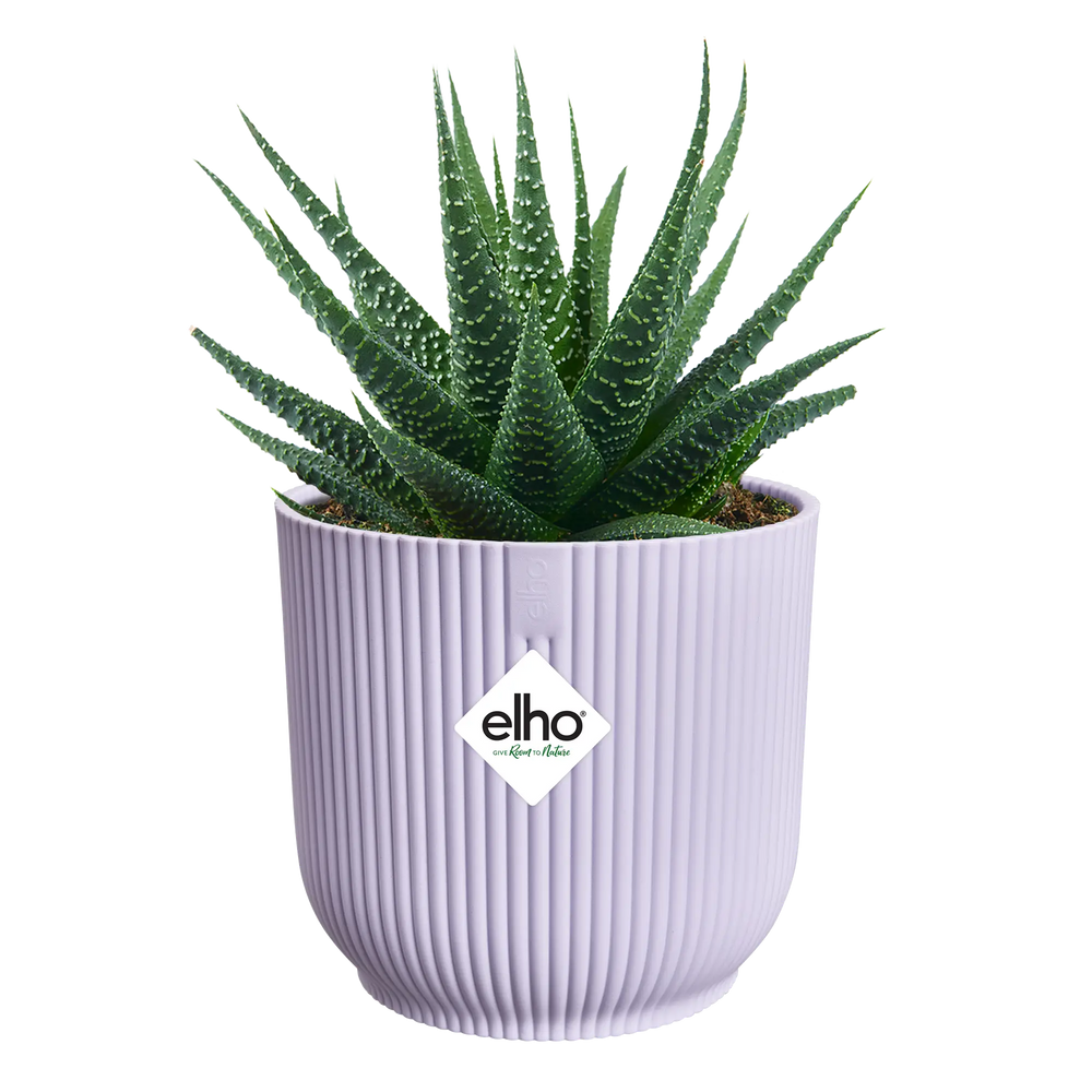 Vibes Fold Round Mini Soft Lilac Ø9Cm - Pots - Windyridge Garden Centre