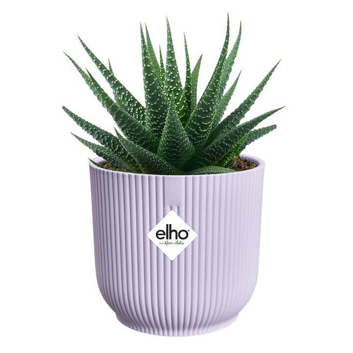 Vibes Fold Round Mini Soft Lilac Ø9Cm - Pots - Windyridge Garden Centre