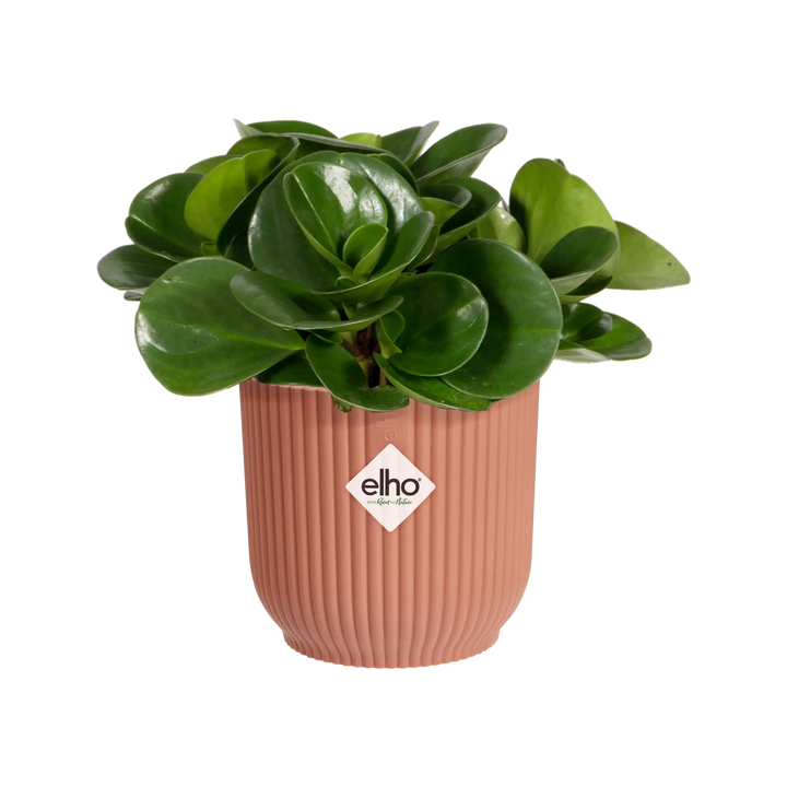 Vibes Fold Round Mini Delicate Pink Ø9Cm - Pots - Windyridge Garden Centre
