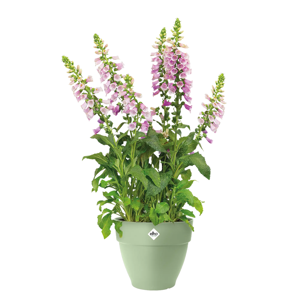 Vibia Campana Pistachio Green Ø35Cm - Pots - Windyridge Garden Centre