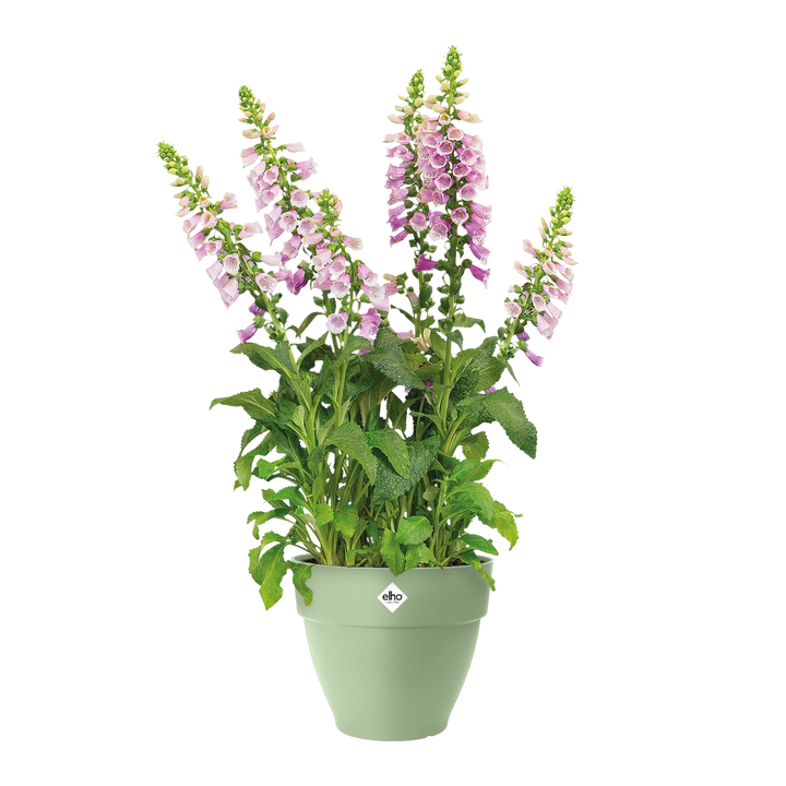 Vibia Campana Pistachio Green Ø35Cm - Pots - Windyridge Garden Centre