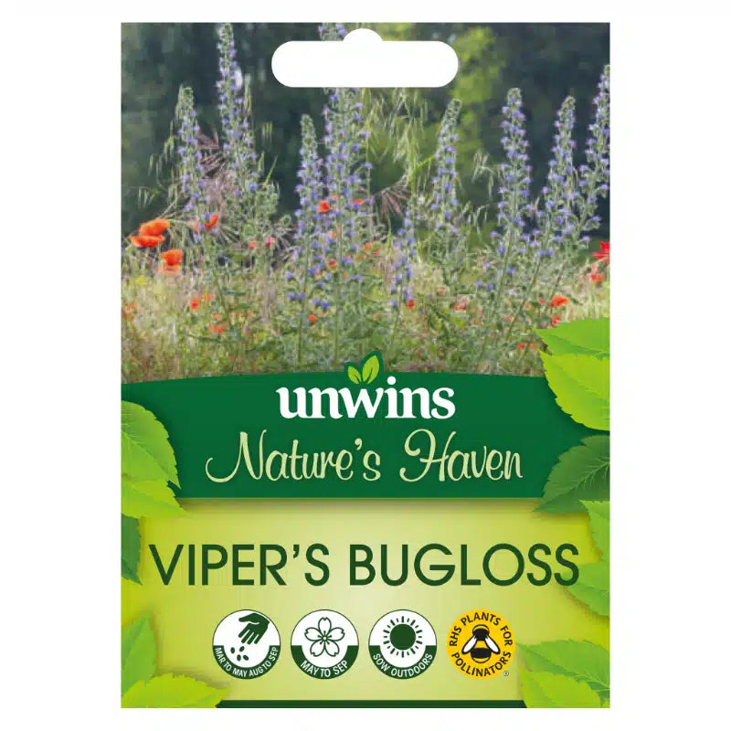Nh Viper S Buglossflower - New 2023 - Seed Packets - Windyridge Garden Centre
