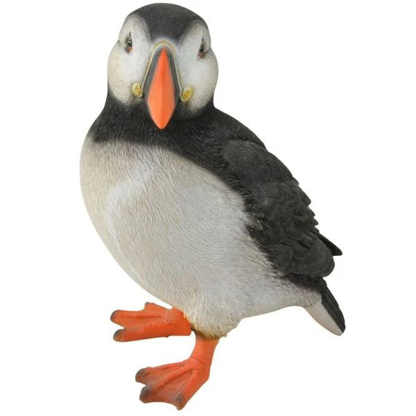 Real Life Puffin D Box/3 - Vivid Arts - Windyridge Garden Centre