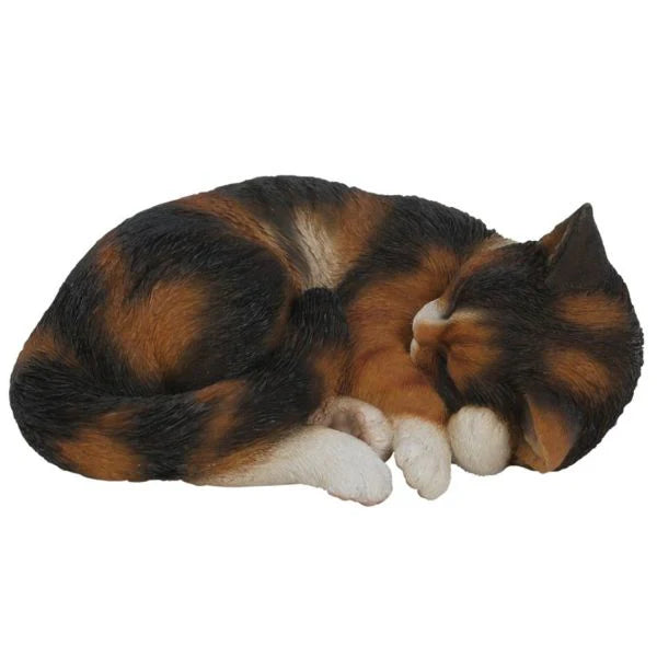 RL Sleeping Cat TSHELL B