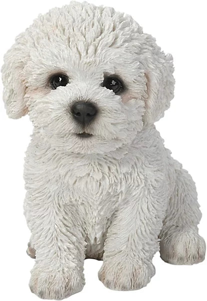 PP Bichon Frise Puppy F