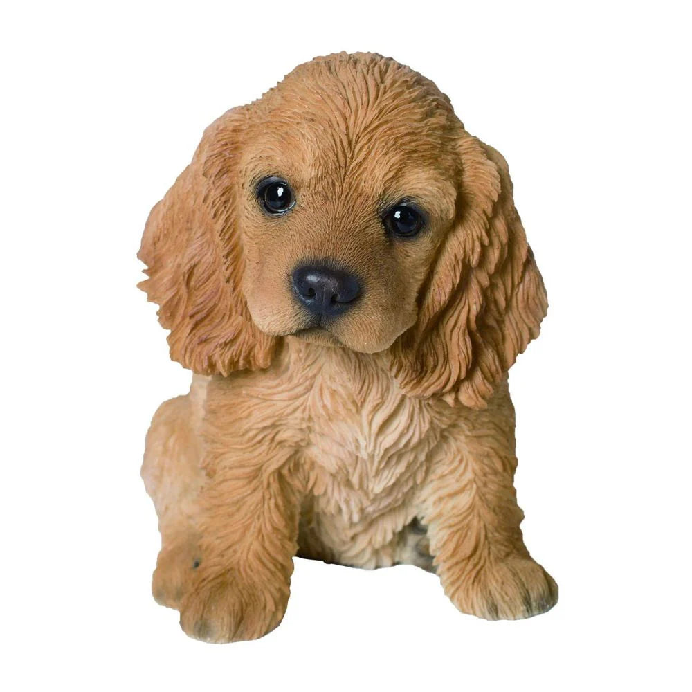 PP Golden Cocker Spaniel Pup F