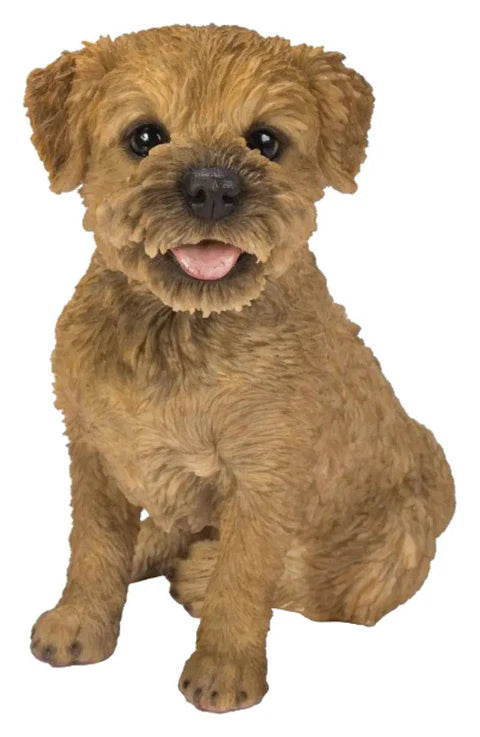 RL Border Terrier D