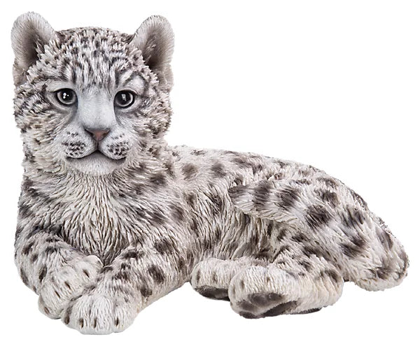 RL Snow Leopard Cub B