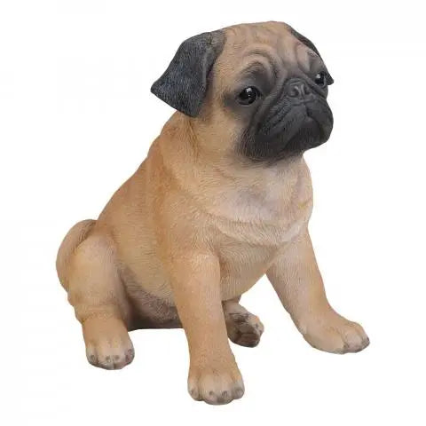 Real Life Pug D