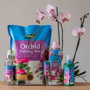 Orchid Droplet Feeder