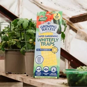 GS Greenhouse Whitefly Traps