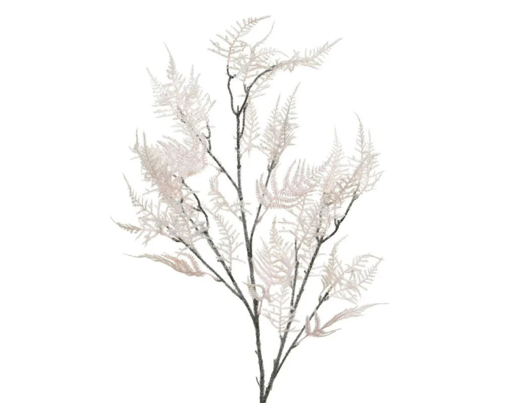 Branch  asparagus  on  stem