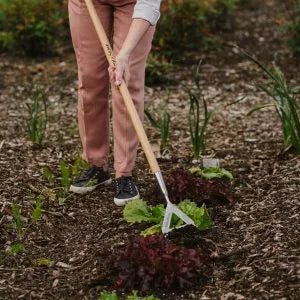Dutch Hoe KS Garden Life
