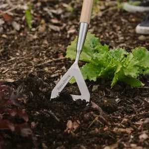 Dutch Hoe KS Garden Life