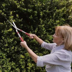 Garden Life Hedge Shears 8