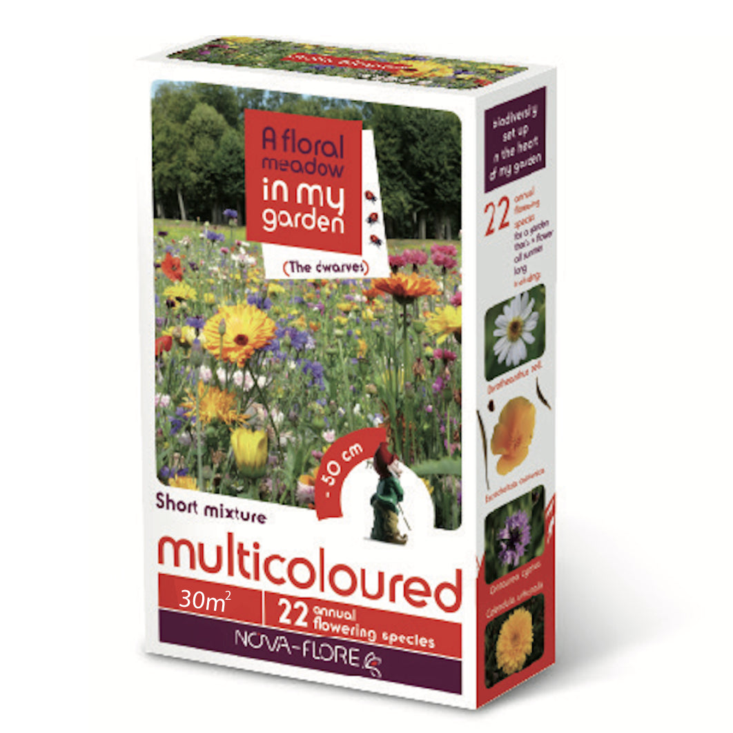 A Floral Meadow - Multi Coloured  30 Sqm Flower -  - Windyridge Garden Centre