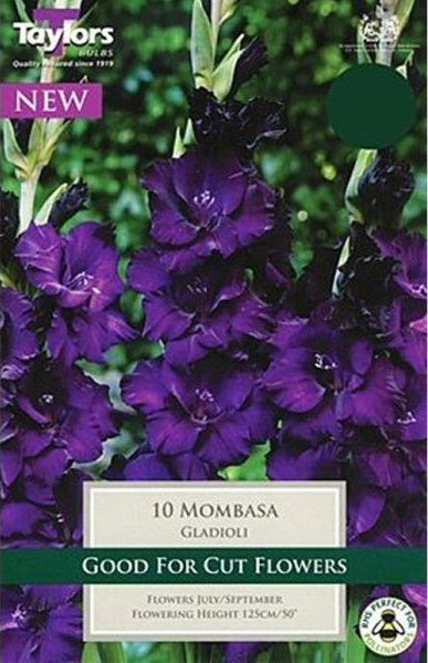 10 GLADIOLI MOMBASA 10-12