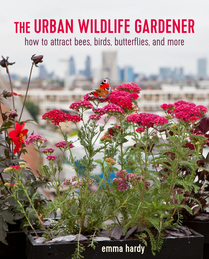 Urban Wildlife Gardener