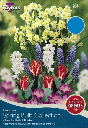 150 SPRING BULB COLLECTION