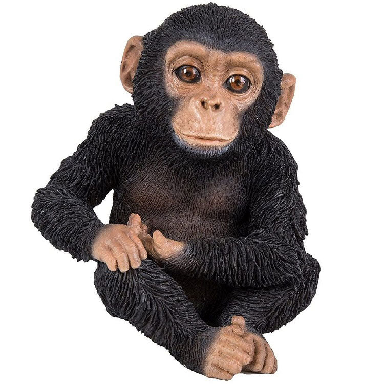PP Sitting Baby Chimp F
