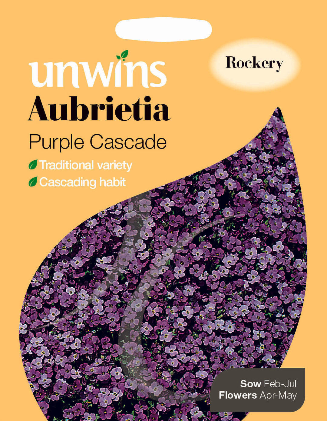 Aubrietia Purple Cascade