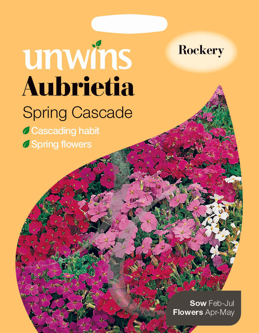 Aubrietia Spring Cascade