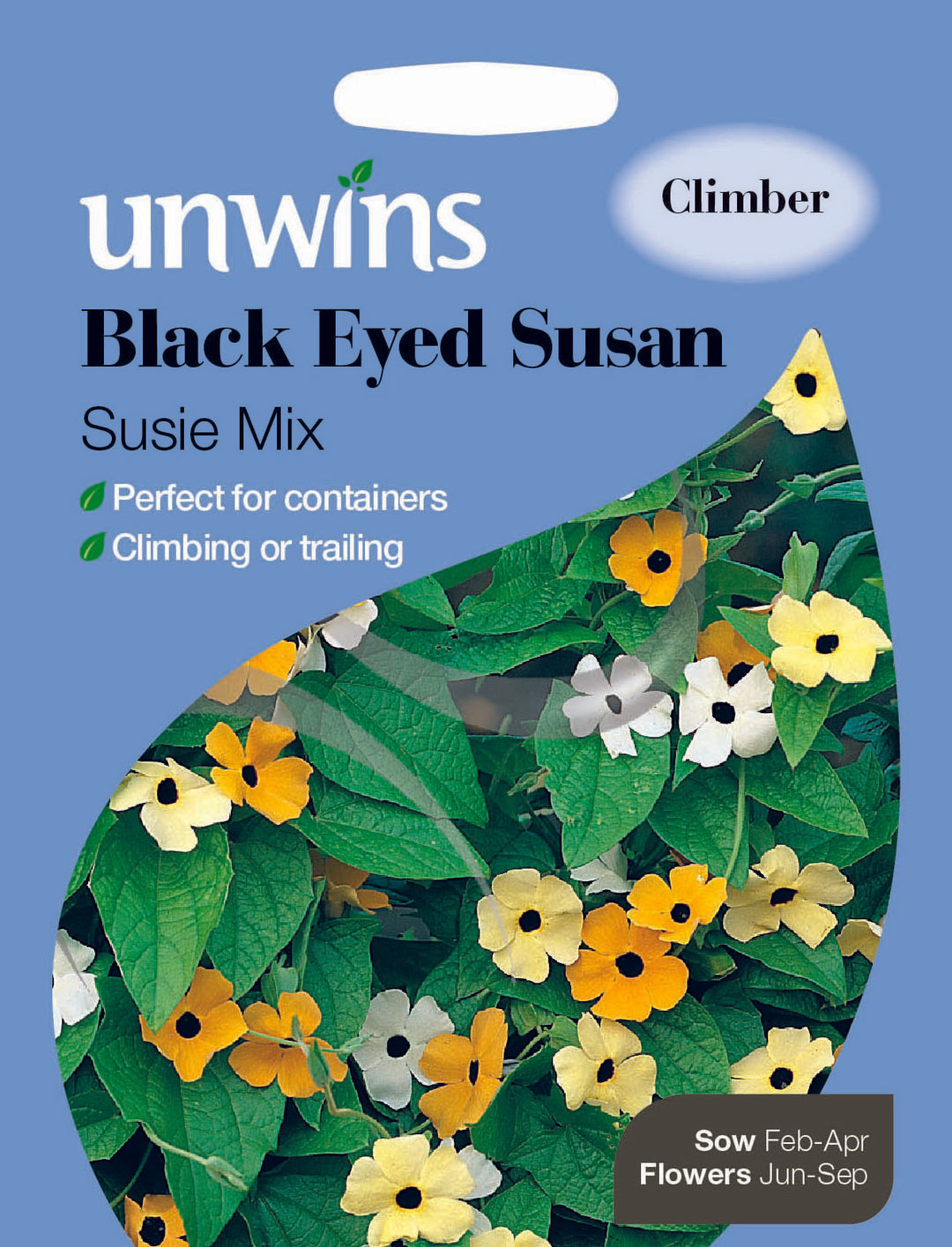 Black Eyed Susan Susie Mix
