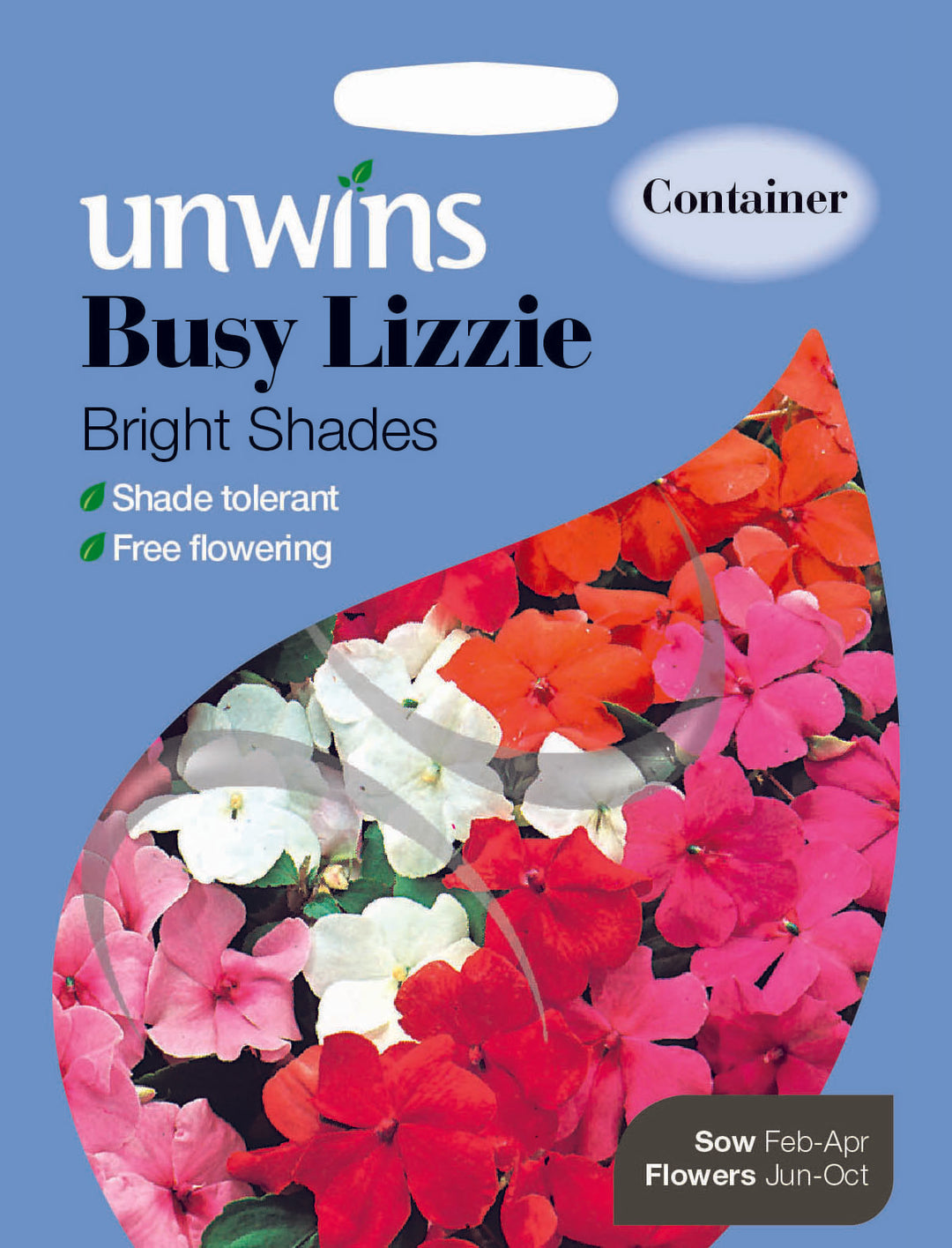 Busy Lizzie Bright Shades