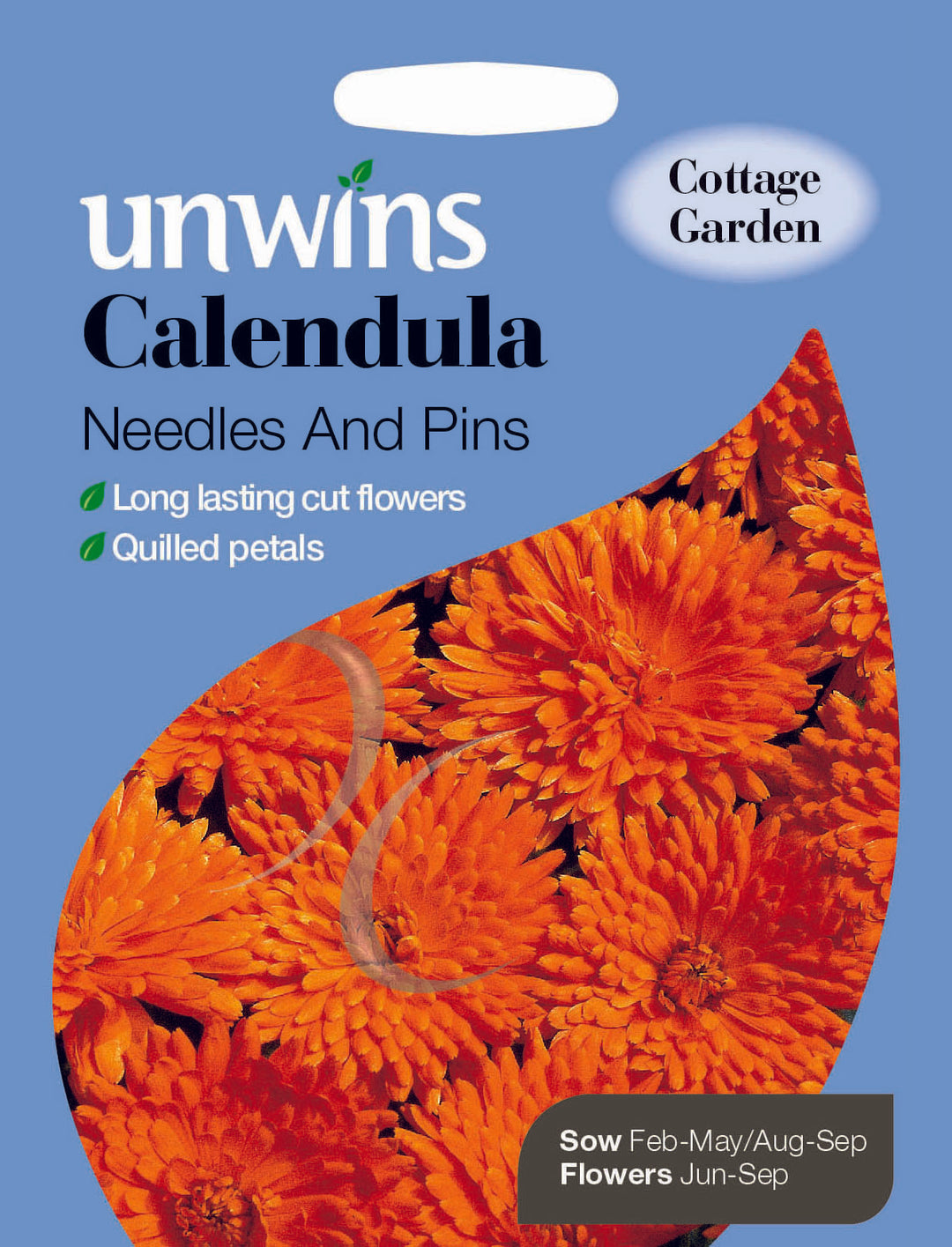 Calendula Needles And Pins