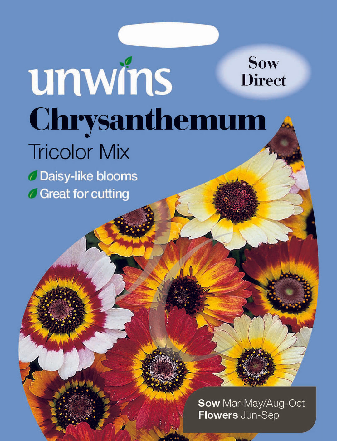 Chrysanthemum Tricolor Mix