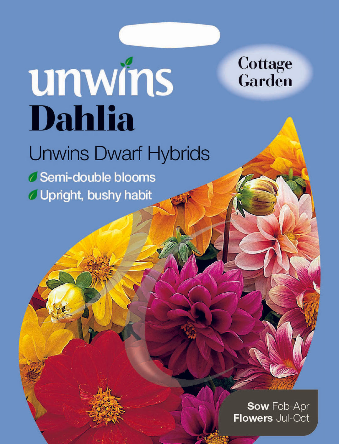 Dahlia Unwins Dwarf Hybrids