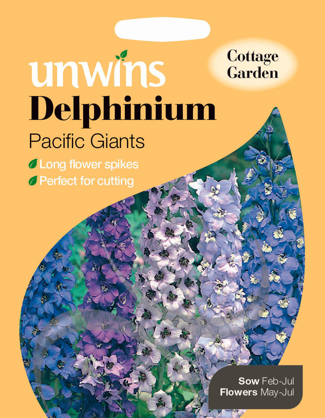 Delphinium Pacific Giants