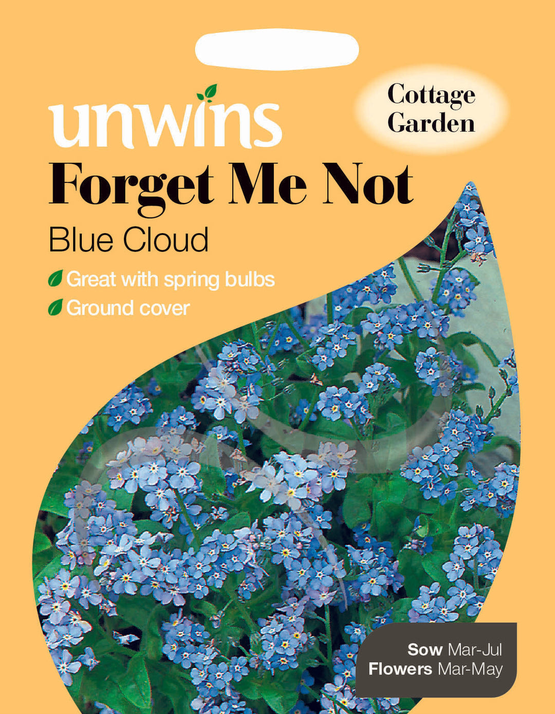Forget Me Not Blue Cloud