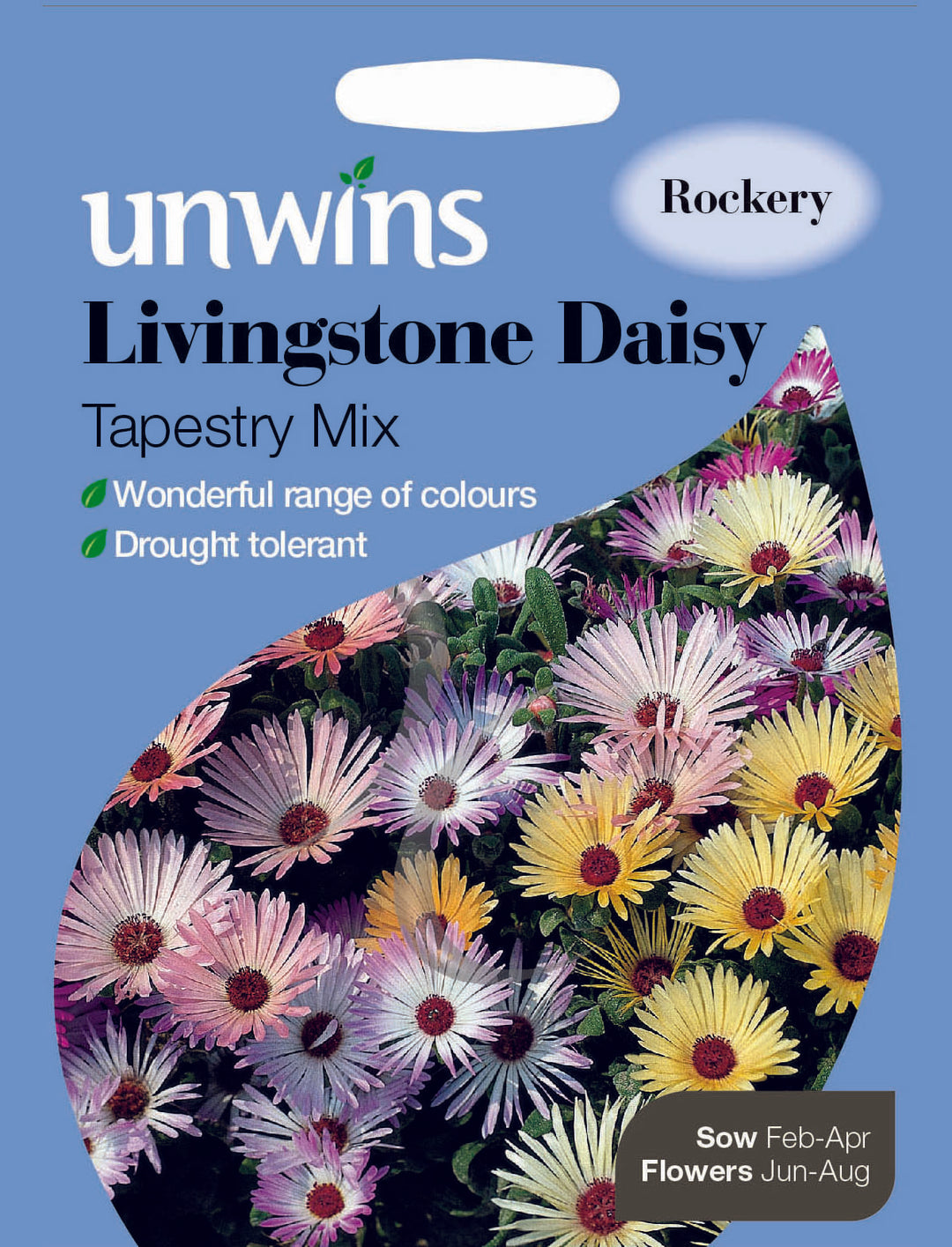 Livingstone Daisy Tapestry Mix