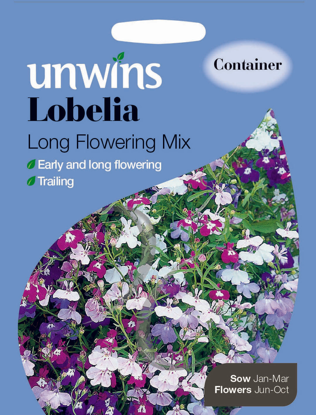 Lobelia Long Flowering Mixed