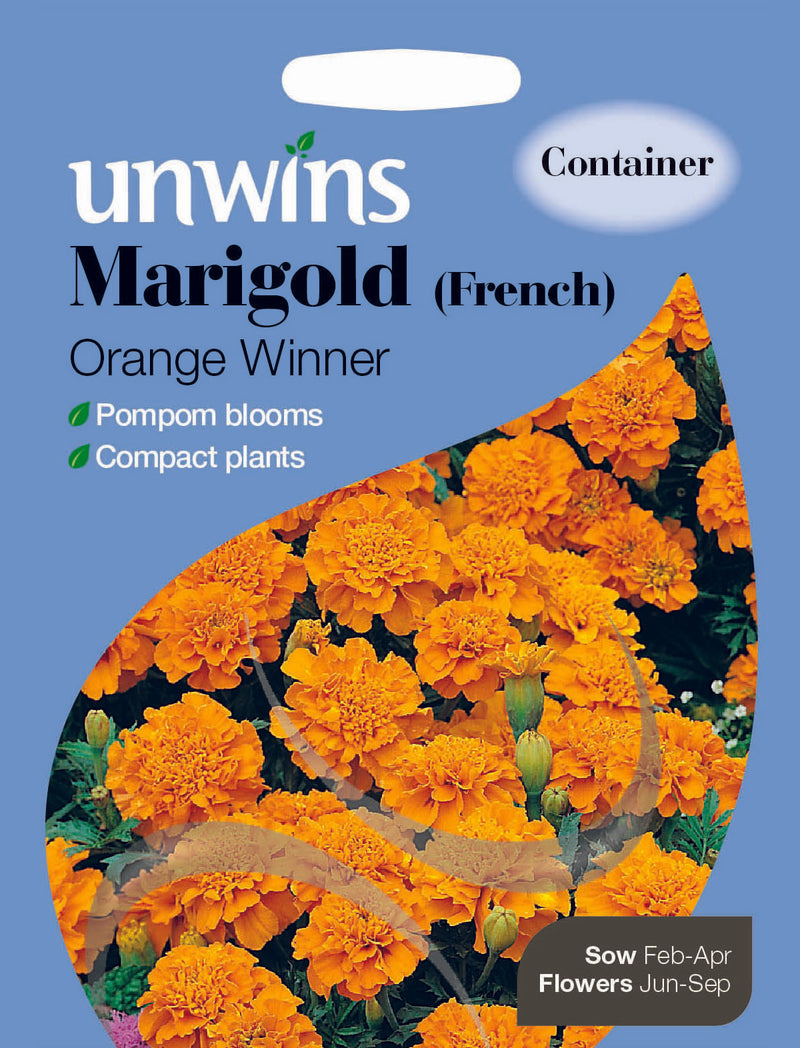 Marigold French Orange Winner