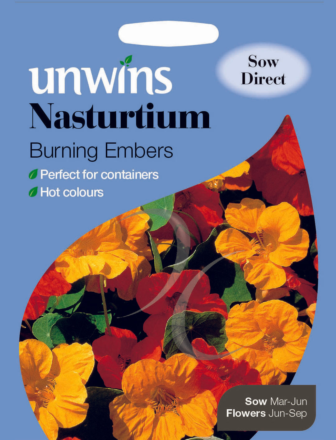 Nasturtium Burning Embers