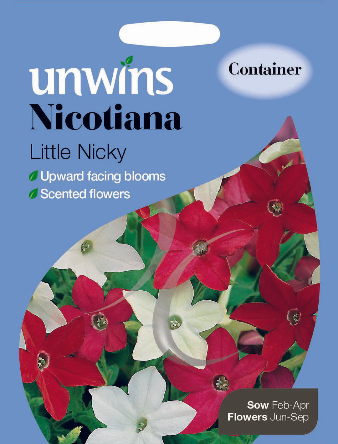 Nicotiana Little Nicky