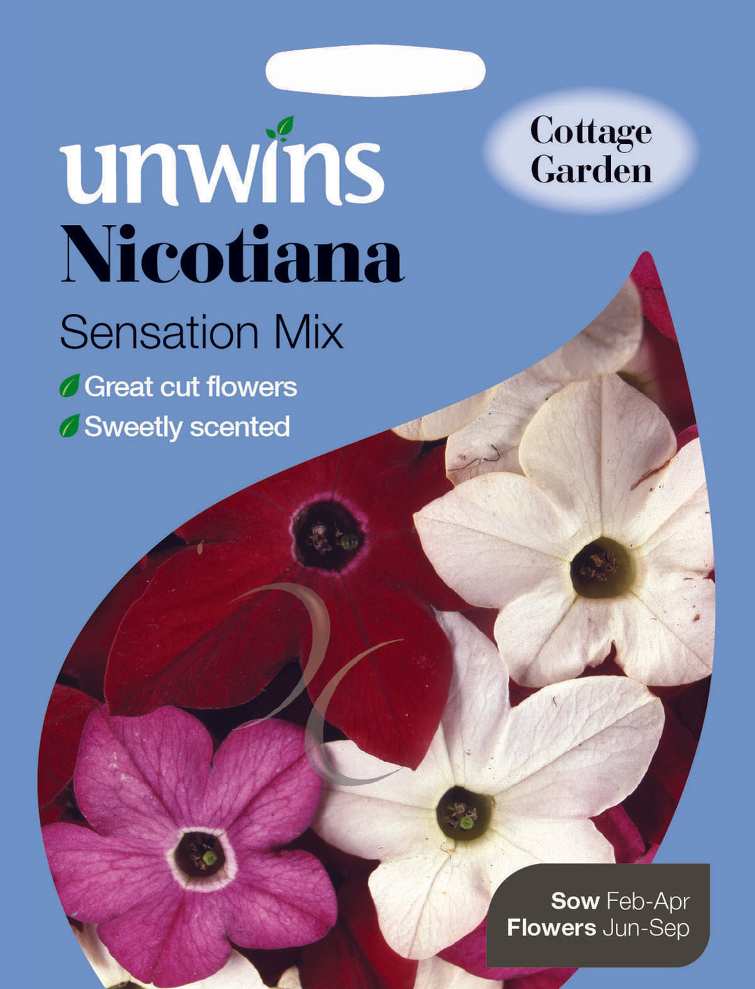 Nicotiana Sensation Mix