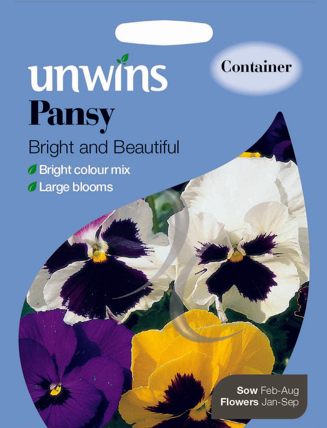 Pansy Bright and Beautiful